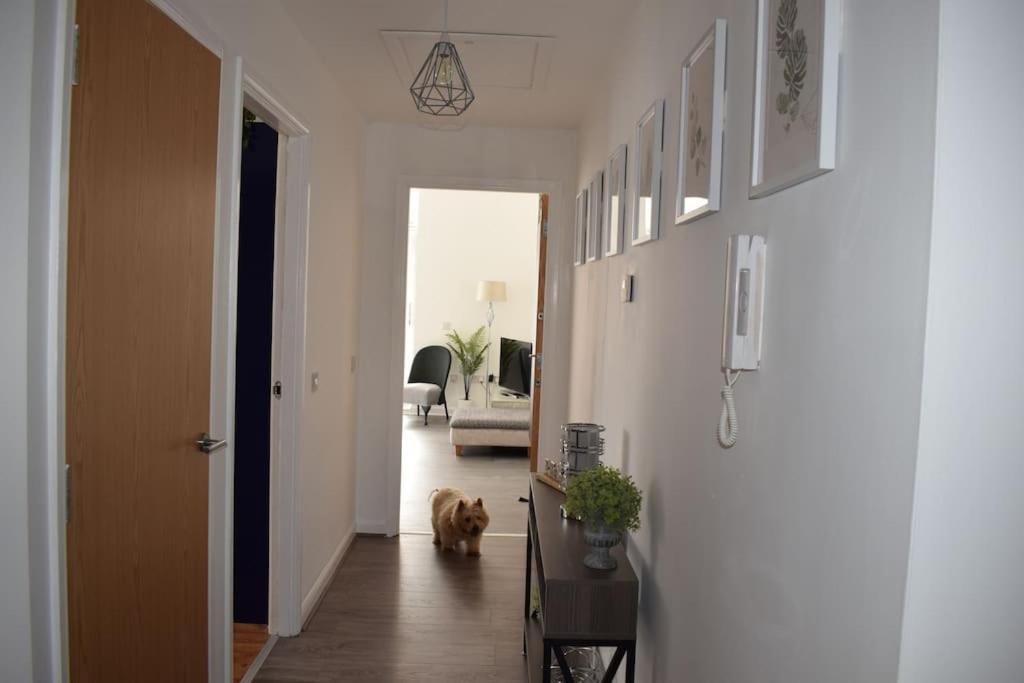 The Paisley Penthouse - Abbey View Apartment Luaran gambar